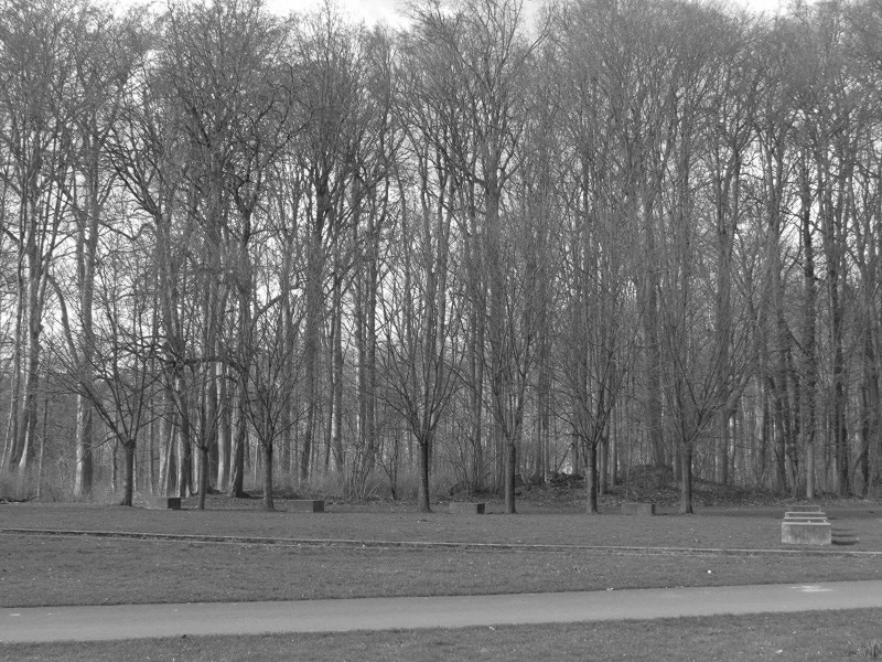 20230430BoniburgFoto