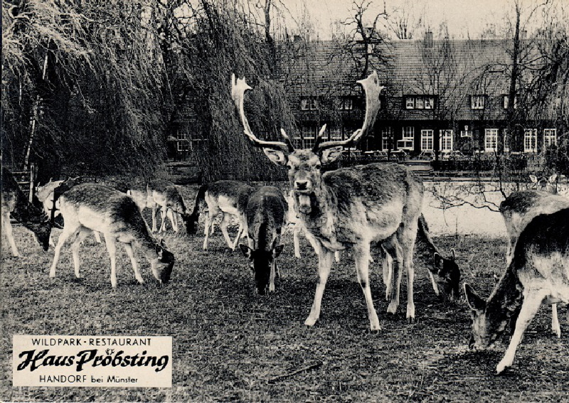 20230507PröbstingScan